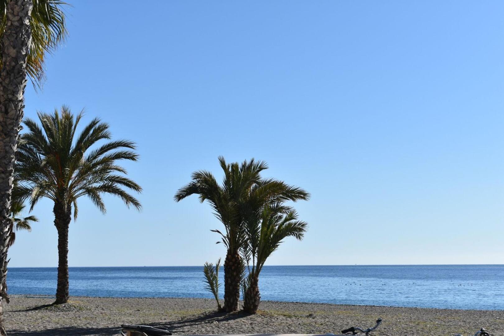 Apartamento Junto Al Mar En Playa San Cristobal Daire Almuñécar Dış mekan fotoğraf